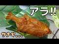 【クワガタ カブトムシ生活】 朝からゴソゴソなんかする 【stag beetle】
