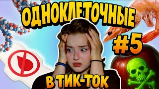 картинка: ОДНОКЛЕТОЧНЫЕ В ТИК-ТОК #5 | ОТМЕНА МЕСЯЧНЫХ, ПАРАЗИТЫ, КОЛЛАГЕН И ТОКСИЧНЫЕ ФРУКТЫ