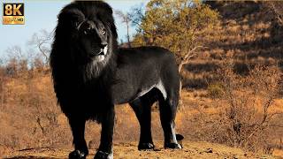 Los 20 Animales Más Extraños Que No Creerás Que Existen