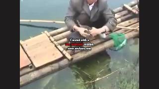 Çinlilerin Hayret Veren Balık Tutma Tekniği 2015
