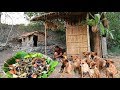 survival in the rainforest - woman cook three big ell for dog - Eating delicious