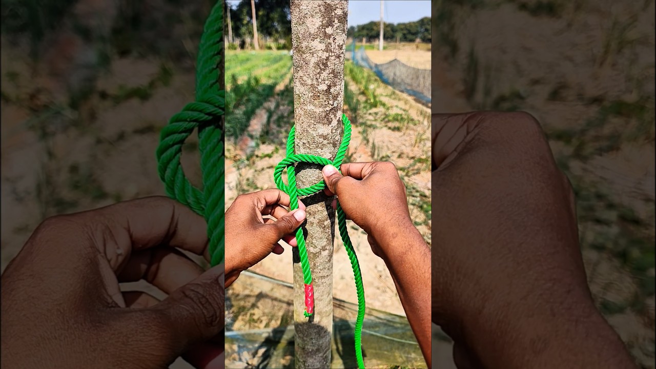 I believe this knot is 100% authentic and reliable!!