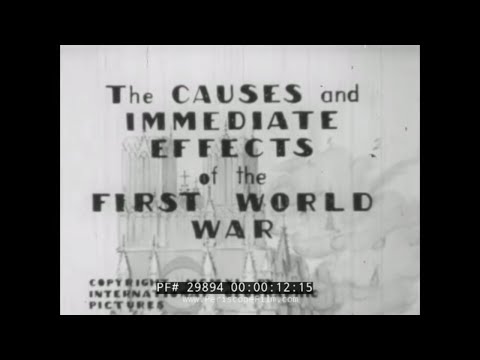 THE CAUSES AND IMMEDIATE EFFECTS OF THE FIRST WORLD WAR    WWI   THE GREAT WAR  29894
