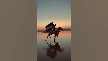 Mawtini Palestine 