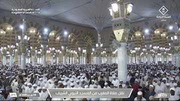 مغرب السبت|للشيخ #عبدالمحسن_القاسم 8-7-1445هـ | سورة البينة