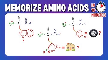 Memorize and Draw the 20 Amino Acids