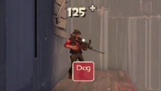 [ Team Fortress 2 ] Specimen A Number 46: Dog