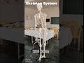 #skeletalsystem #humanskull #bones #All #nursing #anatomy #206Bone explanation