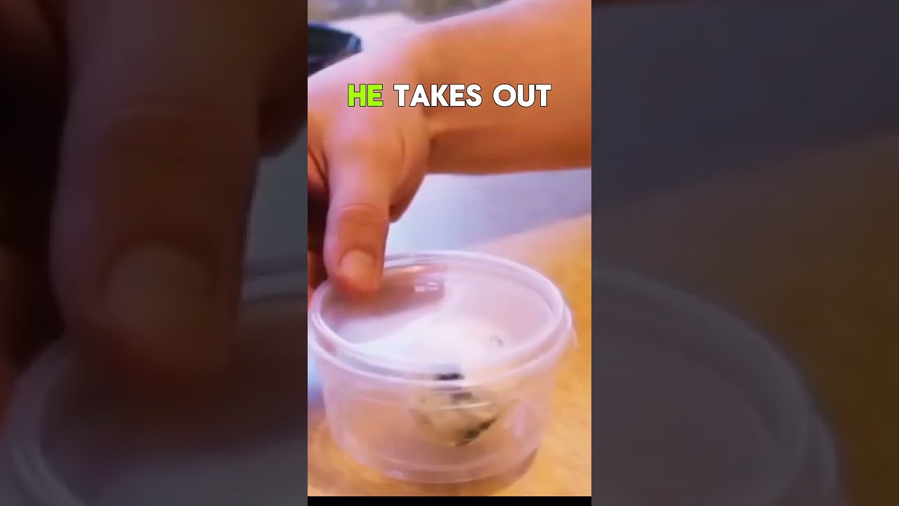 Man Creates A Homunculus Creature Don T Try This At Home 