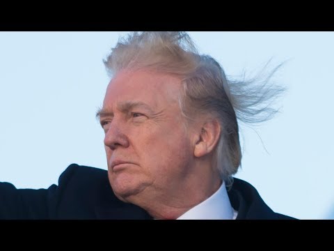The Truth About Donald Trump's Hair Revealed