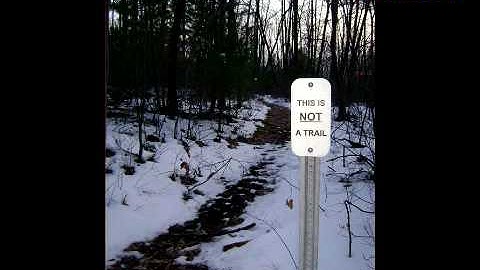 Microsoft Sam Reads Obnoxiously Stupid Signs (Episode 4)