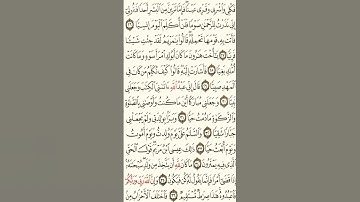 #القران الكريم ايات من سوره مريم للقارئ حمزه محمود 💙🎧