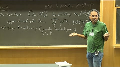 Some Applications of Group Theory to the Arithmetic of Abelian Varieties Lecture