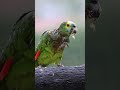 It seems he loves rain.