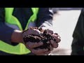 National Soil Day Video
