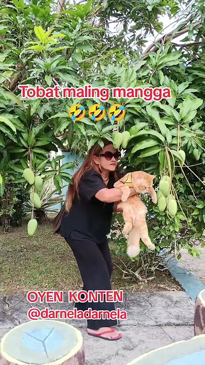 #muarabungo#oyenkonten#oyenganteng#catlover#kucingviral#anabul#fypyoutube