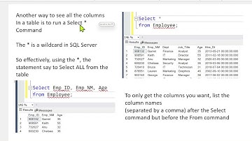 Database Development and Design: Intro to SQL Queries