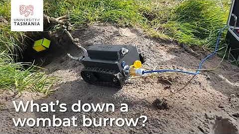 Introducing the WomBot | University of Tasmania