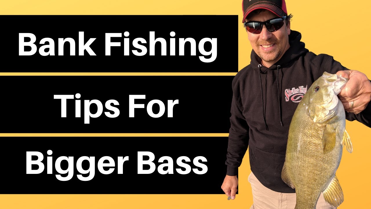 How to Bank Fish For Bass Catching Bigger Bass From the Shore YouTube