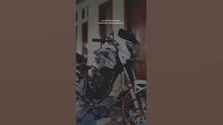 story wa Tiger herex#shorts