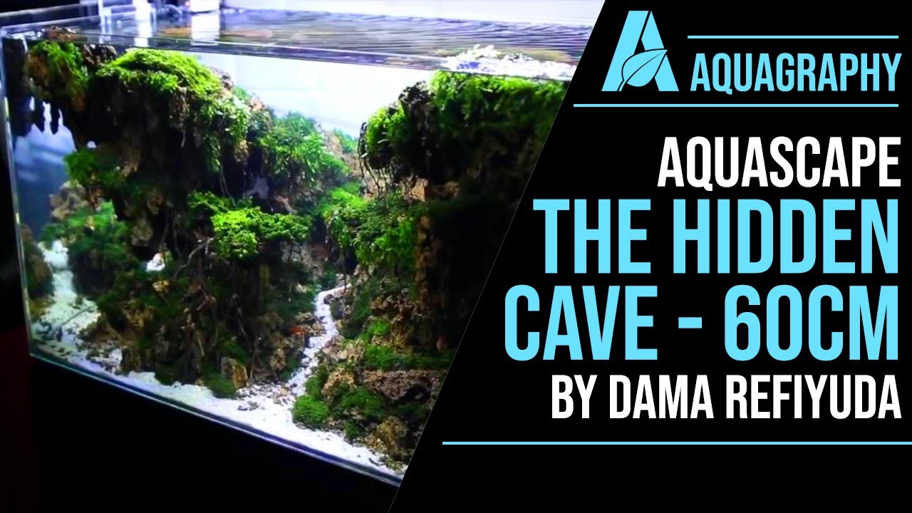 Aquascape 60cm The Hidden Cave Aquagraphy YouTube
