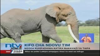 Mzoga wa ndovu ‘Tim’ kuhifadhiwa katika makavazi ya taifa