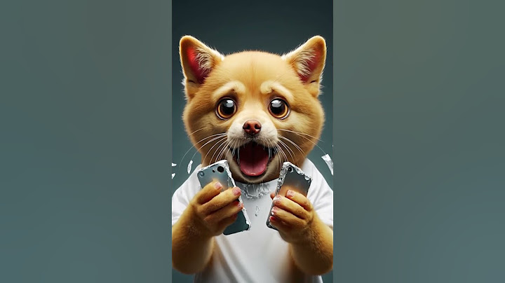 A puppy smashed his phone in the toilet 🐶 #cute #puppy #dog