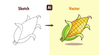 How To Draw Corn in Adobe illustrator - (step by Step)