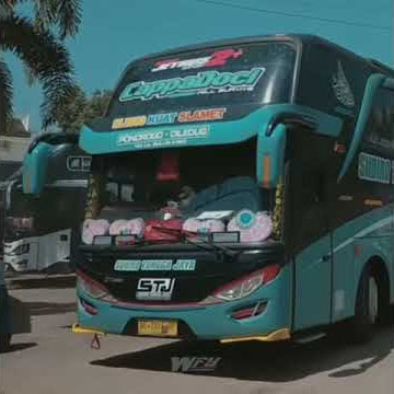 Story' wa bus stj