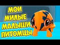 😍Милые малыши питомцы❤️Хеллоуин Ухаживаю за малышами