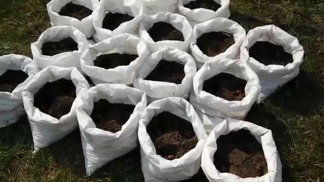 Купить Мешок Земли Цена