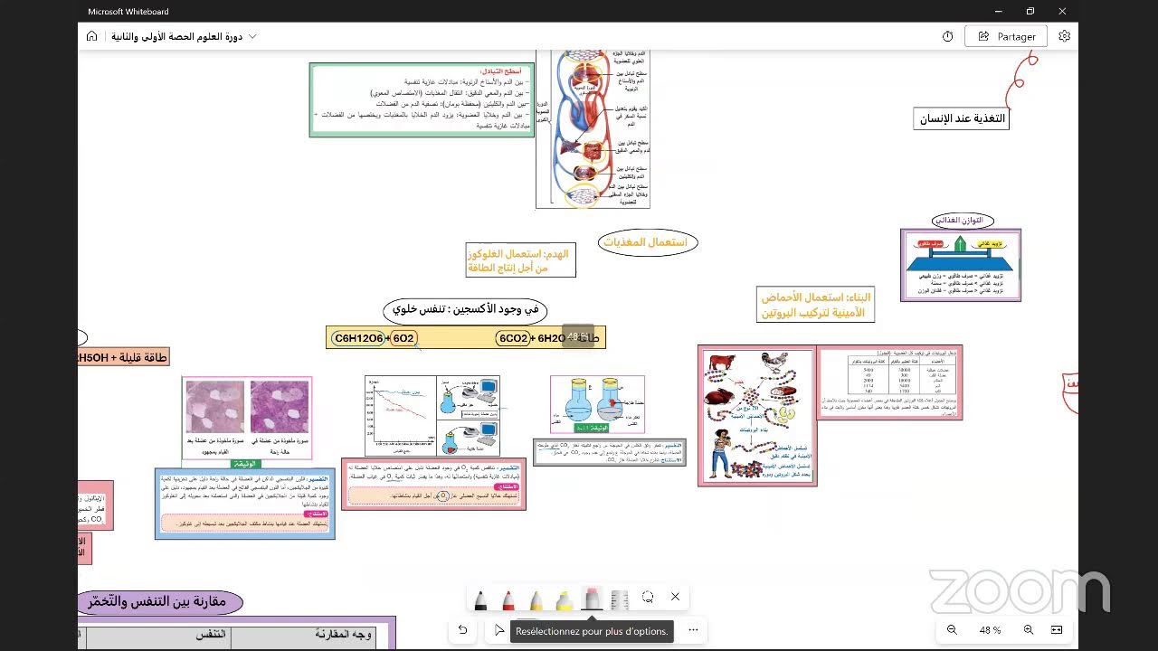 أهم محطات مقاطع العلوم بيام 2024 الجزء الأول
