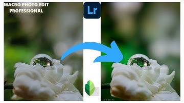 How to edit Macro photos in lightroom/snapseed