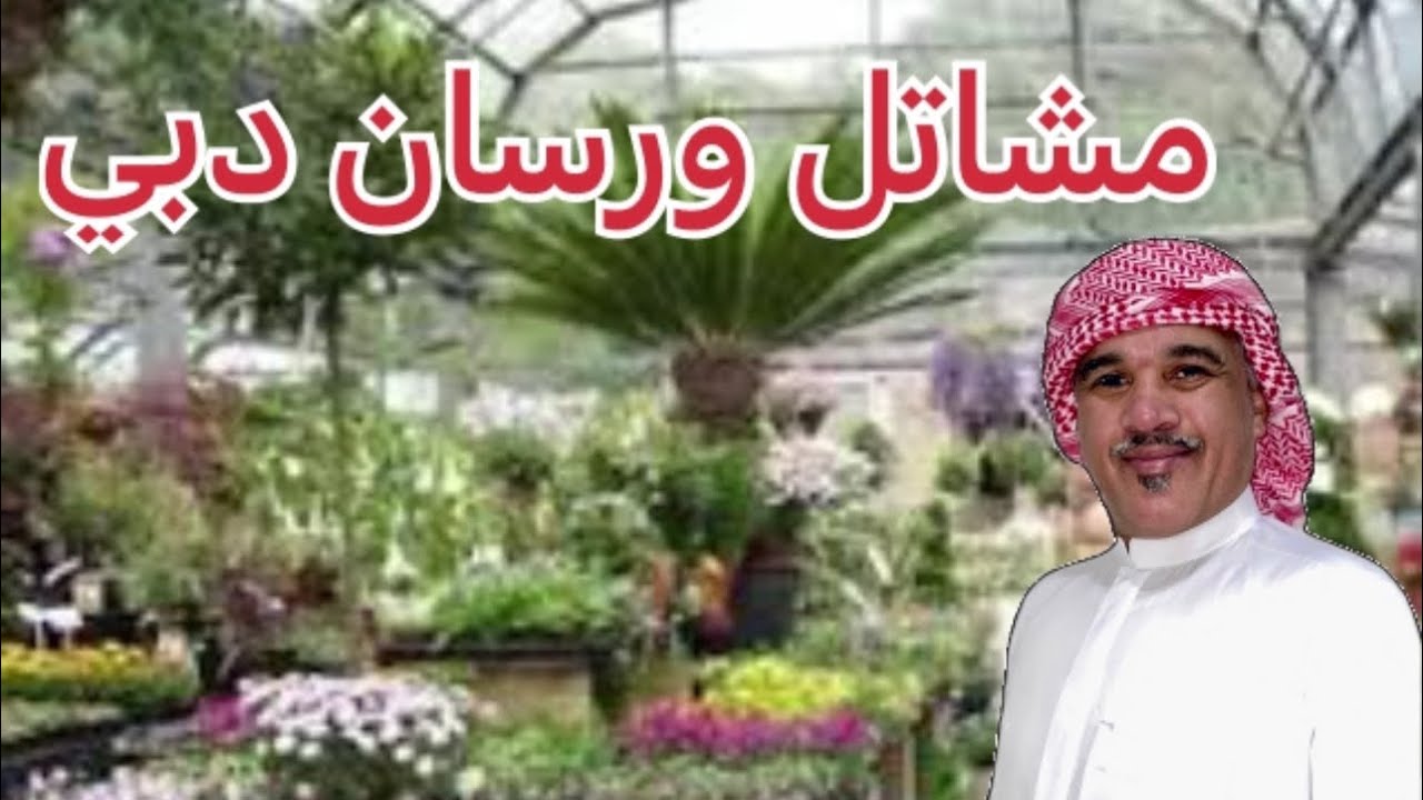 جولة في مشاتل ورسان دبي