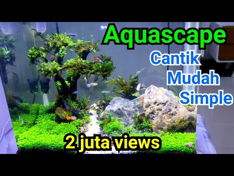 Video: 3 Cara Membuat Penapis Akuarium Anda Sendiri