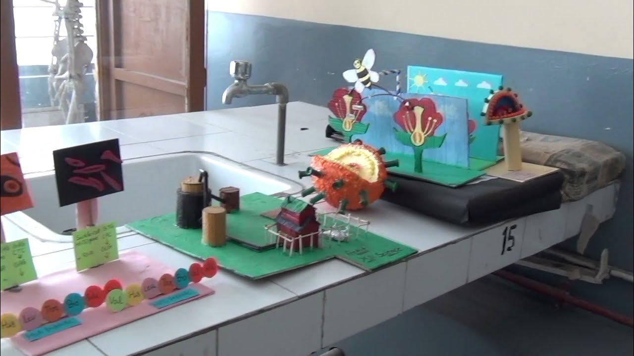 School tour/ Infrastructure of the school/ St. Francis Xavier/Hisar