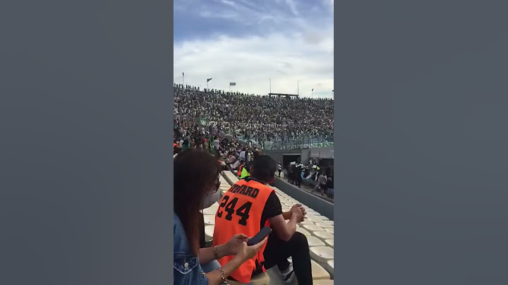 AULA DE ARQUIBANCADA 👏🏼TORCIDA DO PALMEIRAS CALOU A DA FLAMENGO NA FINAL DA LIBERTADORES