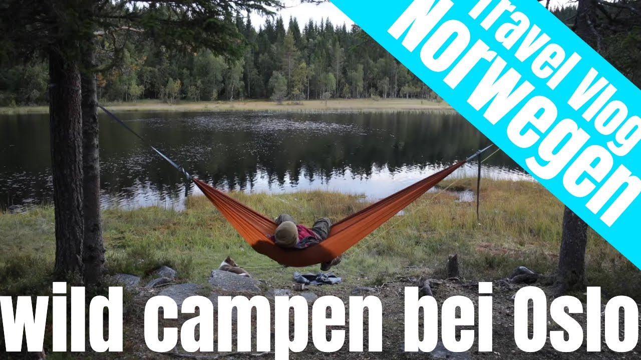 🚐 VanLife | Lunner Almenning - Freicampen bei Oslo!