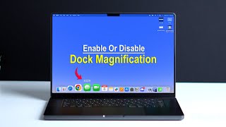 How to Enable or Disable Dock Magnification on Mac?