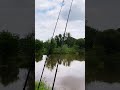 Рыбалка на ФЛЕТ МЕТОД #fishing #рыбалка #carpfishing #shortsvideo #shorts
