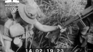 A 1 RAR operation in Vietnam operation 'Kick-off'. DPR/TV/336