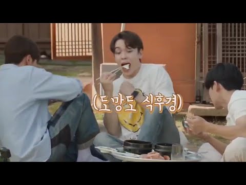 [세븐틴]벌레가 무서운 힙합팀