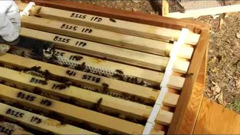 Using a Clearer Board