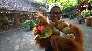 BAHAGIANYA NGELIHAT ANAK-ANAK KOMPAK - Bali Part (3)