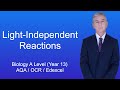Photosynthesis: Light Independent Reactions