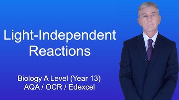 A-Level Biologie Herhaling (Jaar 13) "De lichtonafhankelijke reacties"