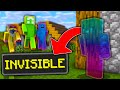 Minecraft Manhunt, But Crouching Makes You Invisible...
