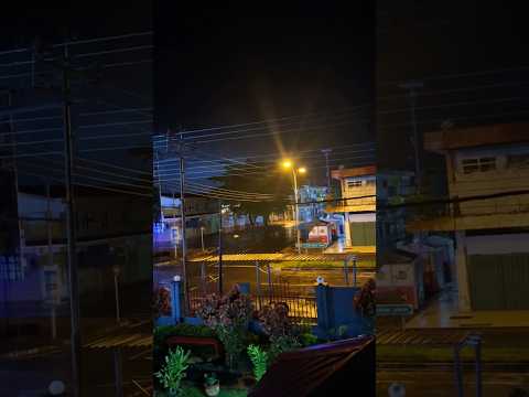 MALAM NEW YEAR 2025 Shorts