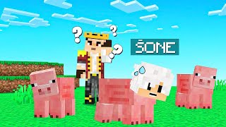 AKO POGODIM KOJA SVINJA JE ŠONE POBJEĐUJEM! (Minecraft Skrivači)