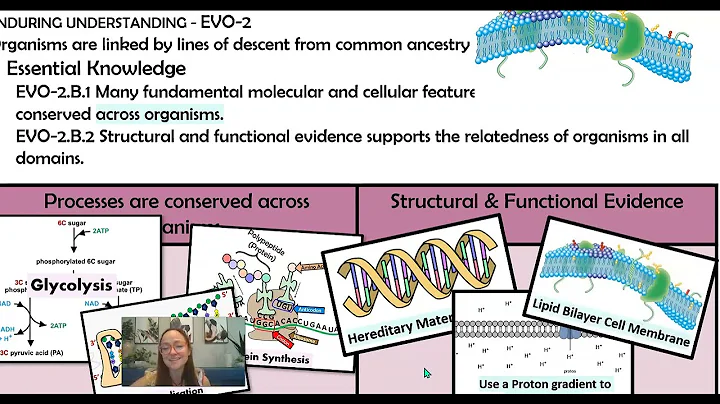AP Bio Topic 7.6 Evidence for Evolution & 7.7 Common Ancestry